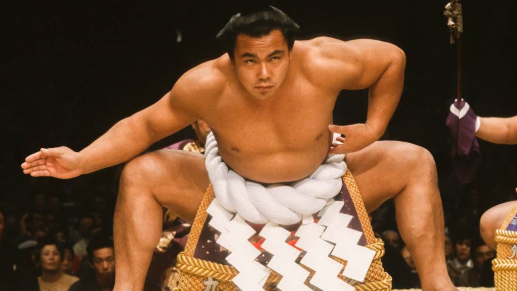 大相撲人気力士ランキング!